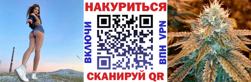 APVP Старая Русса