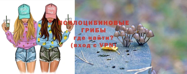 мяу мяу мука Армянск
