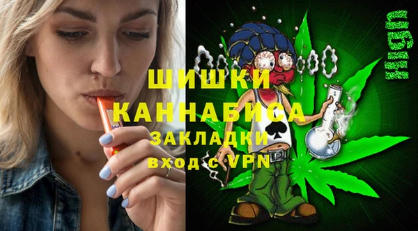тгк Арсеньев