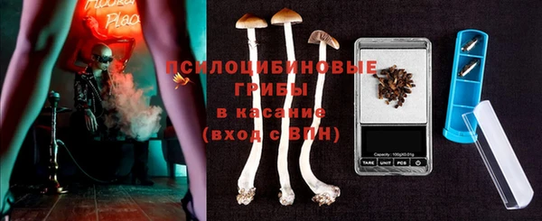тгк Арсеньев